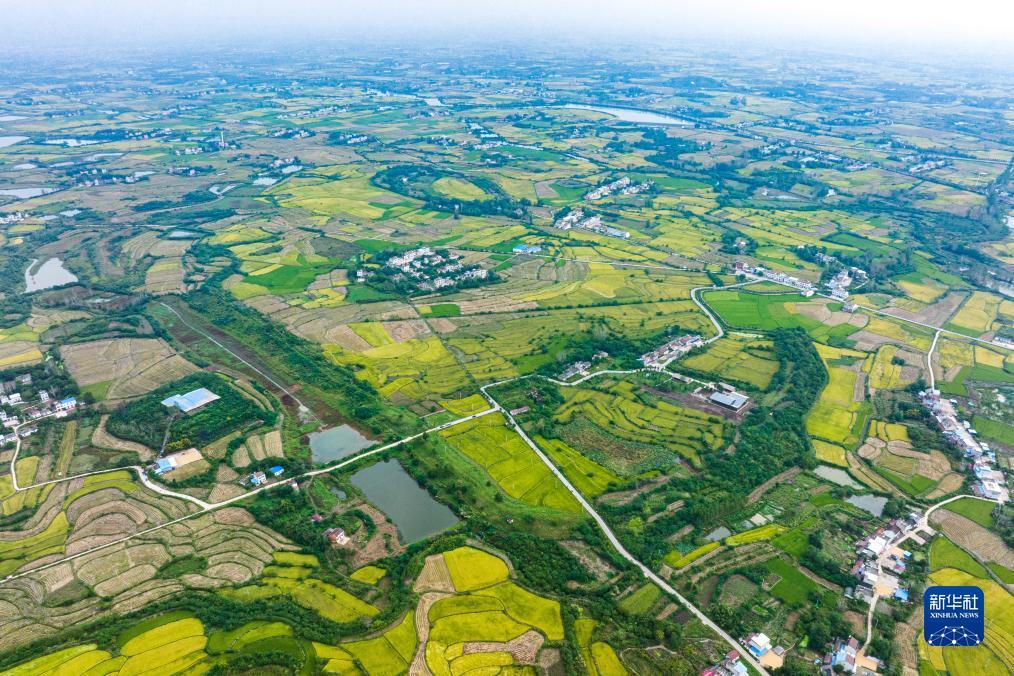 太阳集团81068网址